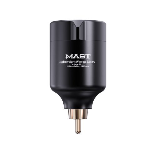 Mast T1 - Netzgerät (schwarz) - kabellos