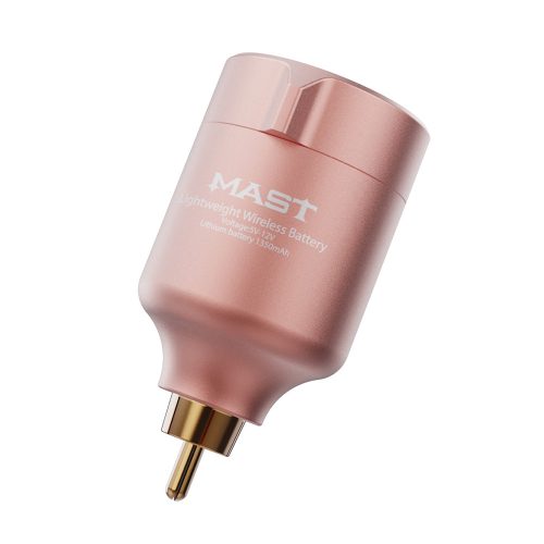 Mast T1-Netzteil (Gold) - kabellos
