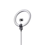 Daylight Aura Ring LED-Ringlampe