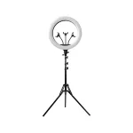 Light & Vision Orbit Ring LED-Ringlampe