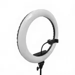 Light & Vision Orbit Ring LED-Ringlampe